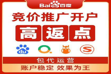 SEO技术突破：某网站流量暴增的背后故事